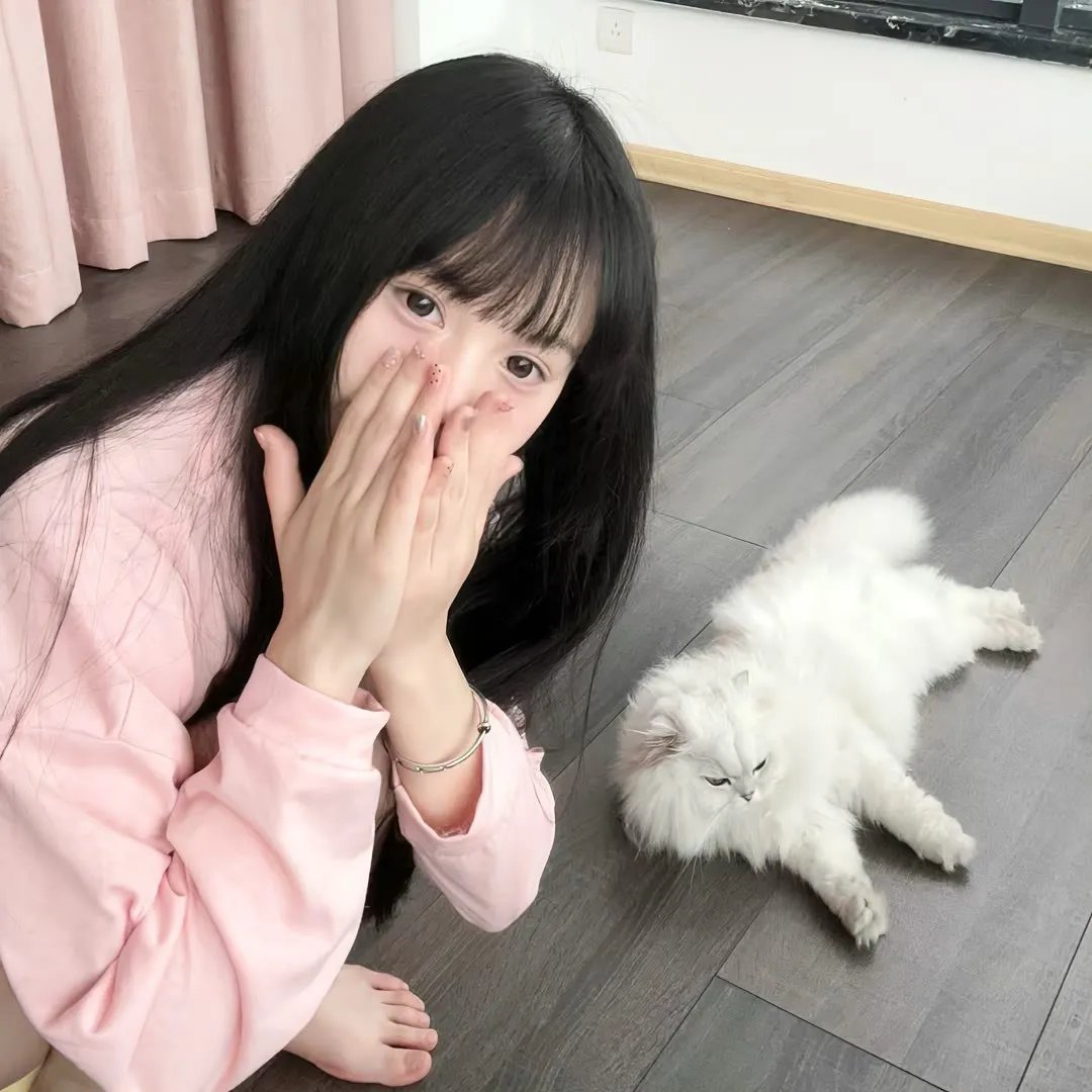 机会