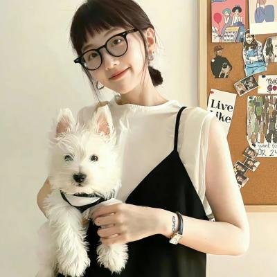 追讨者